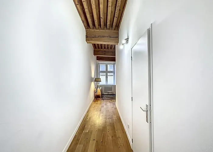 Cosy Appt Coeur De Lyon Du Boeuf 3