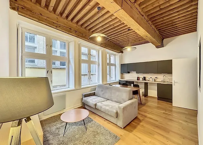 Cosy Appt Coeur De Lyon Du Boeuf 3